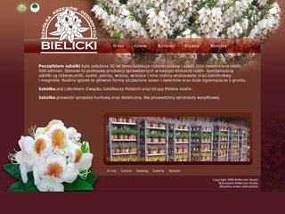 Miniaturka bielicki.com.pl