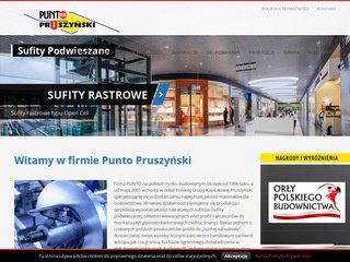 Podgląd punto.pl