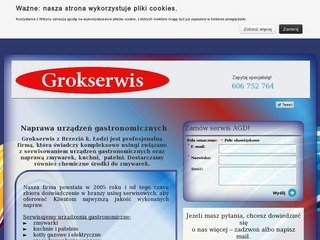 Podgląd grokserwislodzkie.pl