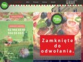 Podgląd streetpizza.pl