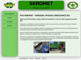 Podgląd skromet.pl