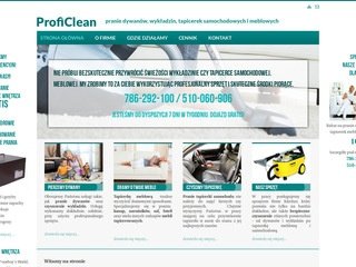 Miniaturka e-proficlean.pl