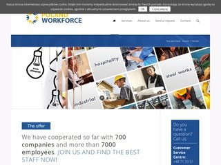 Podgląd polandworkforce.com