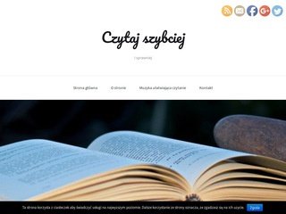 Podgląd ryno.com.pl