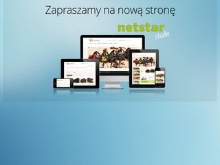 Podgląd netstarstudio.pl