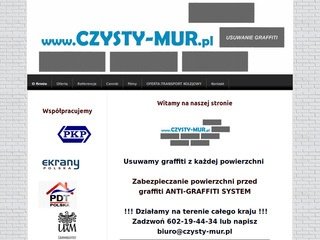 Miniaturka czysty-mur.pl