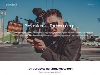 Podgląd forexx.com.pl