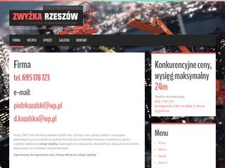 Podgląd uslugi-zwyzka.rzeszow.pl