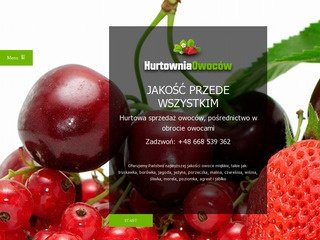 Podgląd hurtowniaowocow.com