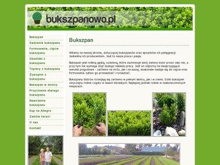 Podgląd bukszpanowo.pl