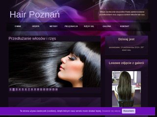 Podgląd hair-poznan.pl