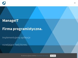 Podgląd manageit.pl