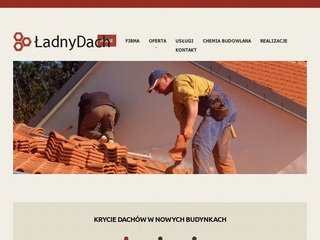 Podgląd dachywarszawa.biz.pl