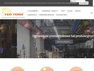 Podgląd teoterm.com.pl