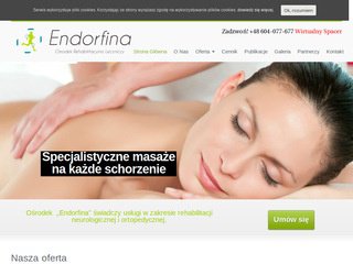 Podgląd endorfina.info.pl