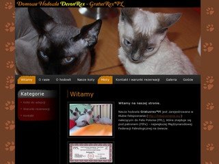 Podgląd devonrex.com.pl