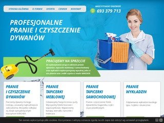 Podgląd praniedywanow-warszawa.com.pl