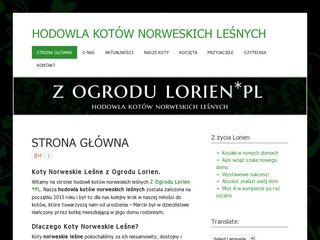 Podgląd z-ogrodu-lorien.pl