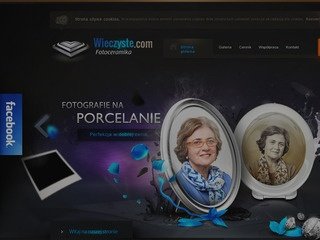 Podgląd wieczyste.com