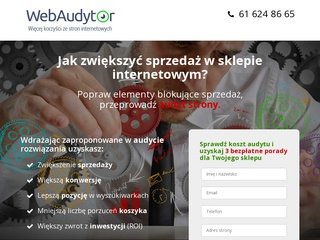 Podgląd webaudytor.pl