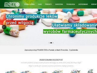 Podgląd dstpoland.pl