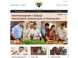 Podgląd dworzysko.pl