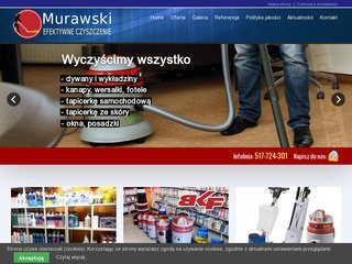 Podgląd efektywneczyszczenie.pl