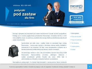 Podgląd podzastaw.biz