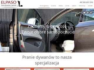 Podgląd praniedywanow-warszawa.pl