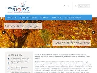 Podgląd trigeo.pl