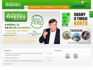 Podgląd wielkopolskaskok.pl