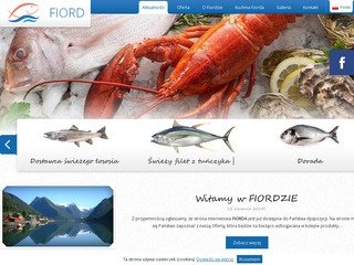 Podgląd fiord.com.pl