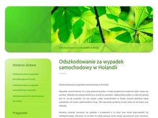 Podgląd worker.net.pl