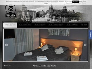 Podgląd apartamentysedinum.com