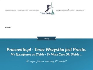 Podgląd pracowite.pl