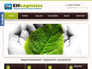 Podgląd ehlogistics.pl