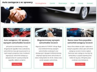 Podgląd auto-zastepcze.info