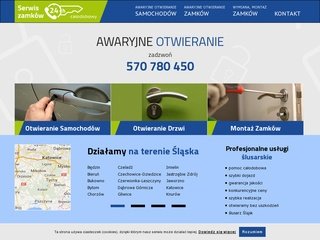 Podgląd serwiszamkow24.pl