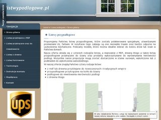 Podgląd listwypodlogowe.com.pl