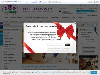 Podgląd hurtowniakrokus.pl