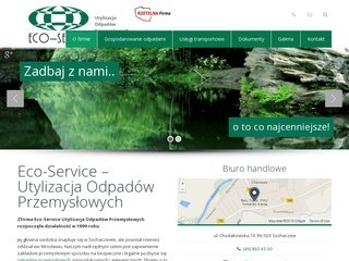 Podgląd eco-service.com.pl