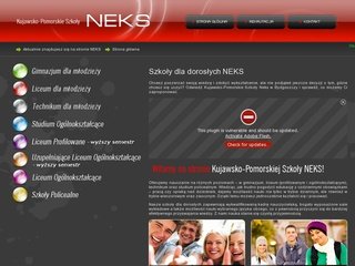 Podgląd neks.com.pl