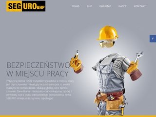 Podgląd seguro-bhp.pl