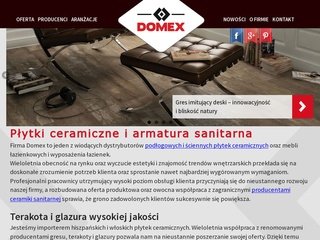 Podgląd domex.com.pl