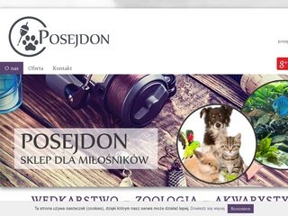 Podgląd posejdon-konin.pl