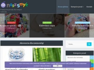 Podgląd naszsmyk.com.pl