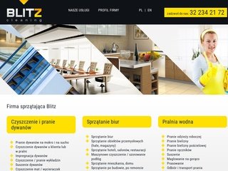 Podgląd blitz-cleaning.com