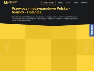 Podgląd magnusoncars.pl