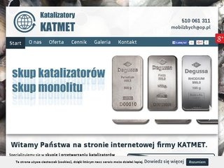 Miniaturka ekatalizatory.pl