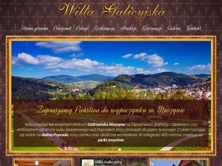 Podgląd willagalicyjska.pl